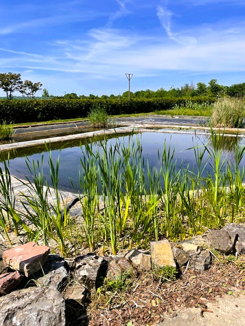 Terra Fläche3